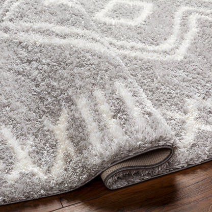 Surya Cloudy Shag CDG-2312 Gray Global Machinemade Rug