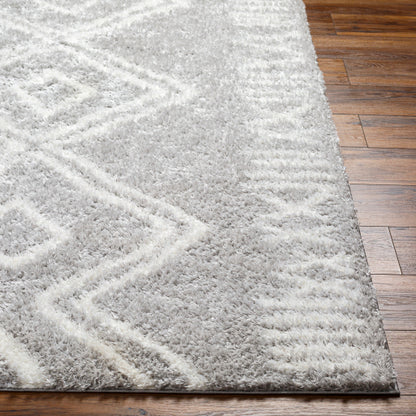 Surya Cloudy Shag CDG-2312 Gray Global Machinemade Rug