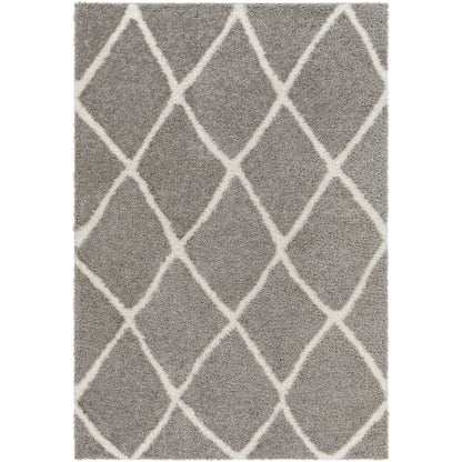 Surya Cloudy Shag CDG-2313 Charcoal Modern Machinemade Rug