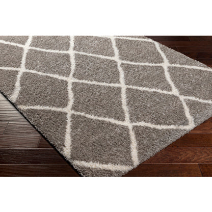 Surya Cloudy Shag CDG-2313 Charcoal Modern Machinemade Rug
