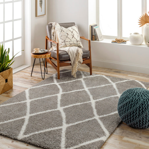 Surya Cloudy Shag CDG-2313 Charcoal Modern Machinemade Rug