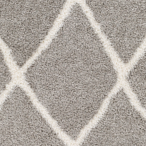 Surya Cloudy Shag CDG-2313 Charcoal Modern Machinemade Rug