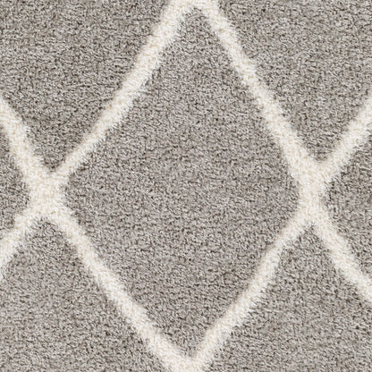Surya Cloudy Shag CDG-2313 Charcoal Modern Machinemade Rug