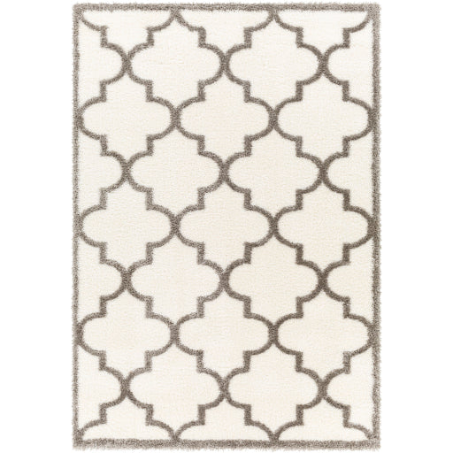 Surya Cloudy Shag CDG-2314 Off-White Modern Machinemade Rug