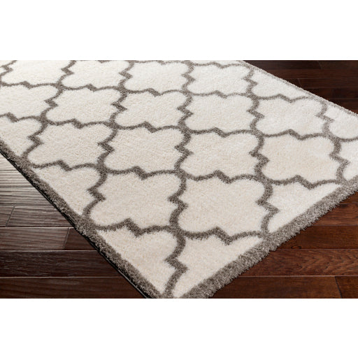 Surya Cloudy Shag CDG-2314 Off-White Modern Machinemade Rug