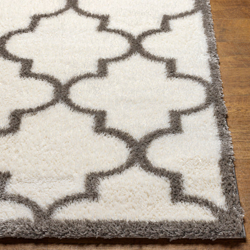 Surya Cloudy Shag CDG-2314 Off-White Modern Machinemade Rug