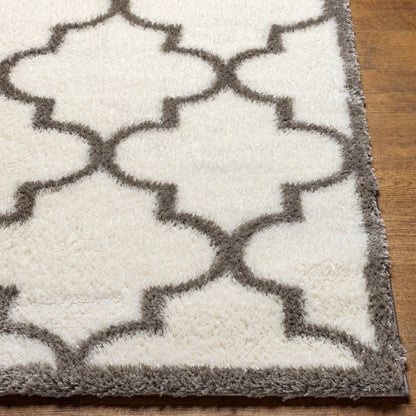 Surya Cloudy Shag CDG-2314 Off-White Modern Machinemade Rug