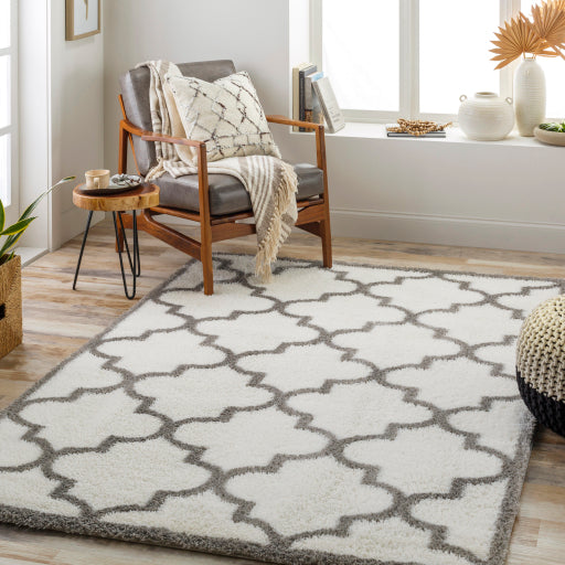 Surya Cloudy Shag CDG-2314 Off-White Modern Machinemade Rug
