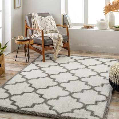 Surya Cloudy Shag CDG-2314 Off-White Modern Machinemade Rug