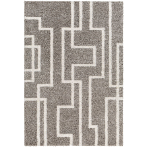 Surya Cloudy Shag CDG-2315 Gray Modern Machinemade Rug