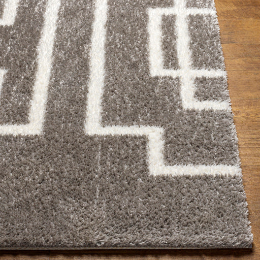 Surya Cloudy Shag CDG-2315 Gray Modern Machinemade Rug
