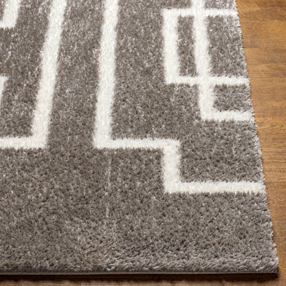 Surya Cloudy Shag CDG-2315 Gray Modern Machinemade Rug