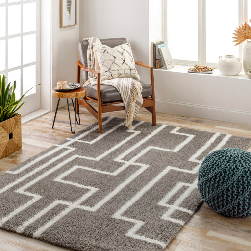 Surya Cloudy Shag CDG-2315 Gray Modern Machinemade Rug
