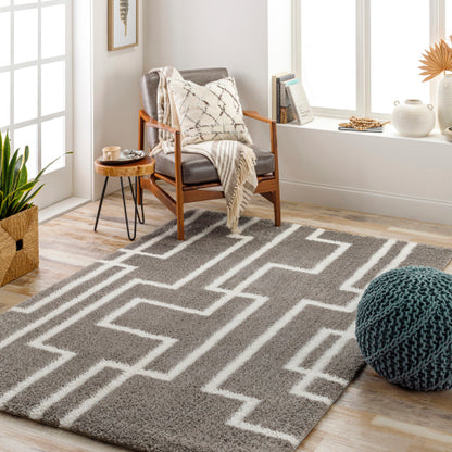 Surya Cloudy Shag CDG-2315 Gray Modern Machinemade Rug