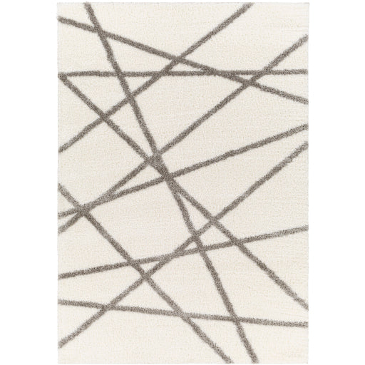 Surya Cloudy Shag CDG-2316 Off-White Modern Machinemade Rug