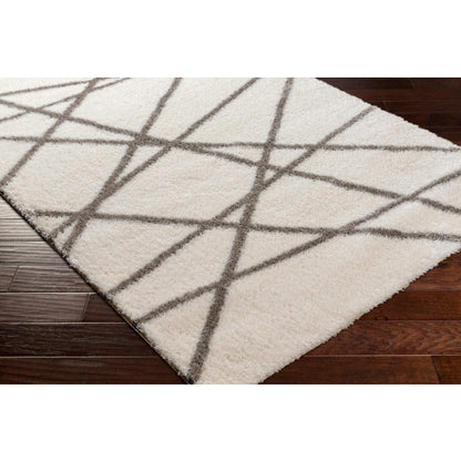 Surya Cloudy Shag CDG-2316 Off-White Modern Machinemade Rug