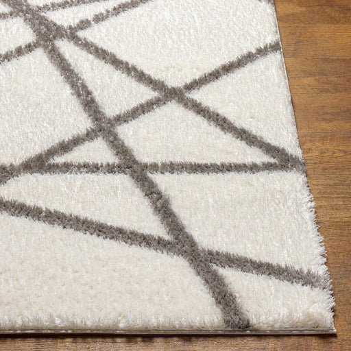 Surya Cloudy Shag CDG-2316 Off-White Modern Machinemade Rug