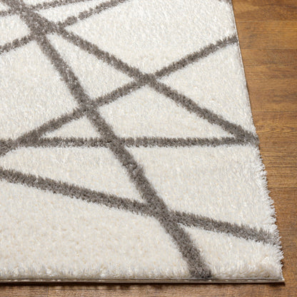 Surya Cloudy Shag CDG-2316 Off-White Modern Machinemade Rug