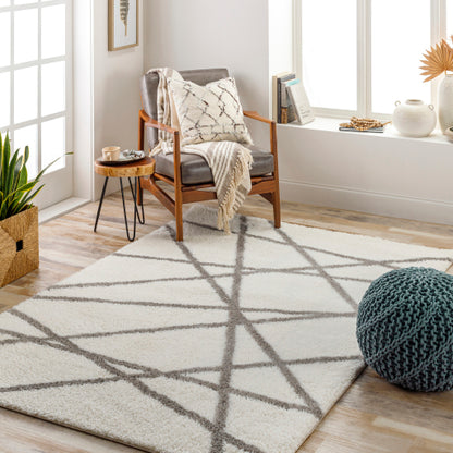 Surya Cloudy Shag CDG-2316 Off-White Modern Machinemade Rug