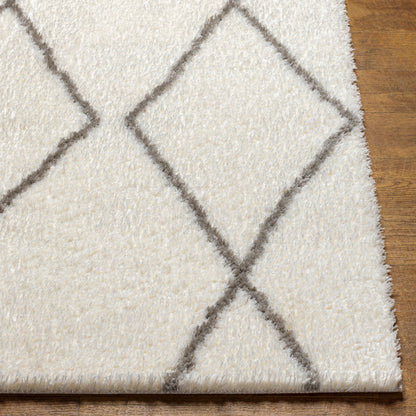 Surya Cloudy Shag CDG-2317 Off-White Modern Machinemade Rug