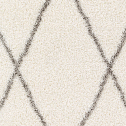 Surya Cloudy Shag CDG-2317 Off-White Modern Machinemade Rug