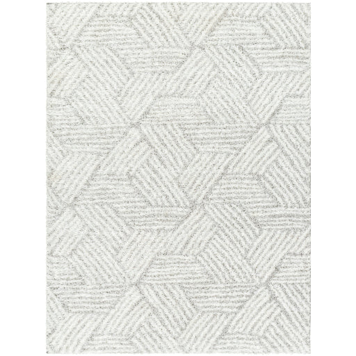 Surya Cloudy Shag CDG-2320 Off-White Modern Machinemade Rug
