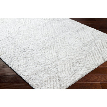 Surya Cloudy Shag CDG-2320 Off-White Modern Machinemade Rug