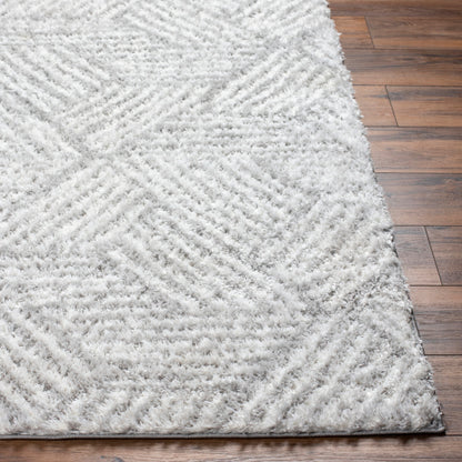 Surya Cloudy Shag CDG-2320 Off-White Modern Machinemade Rug