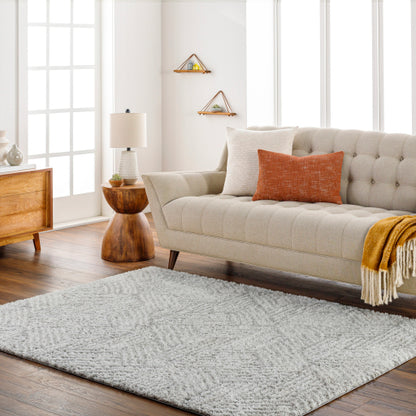 Surya Cloudy Shag CDG-2320 Off-White Modern Machinemade Rug