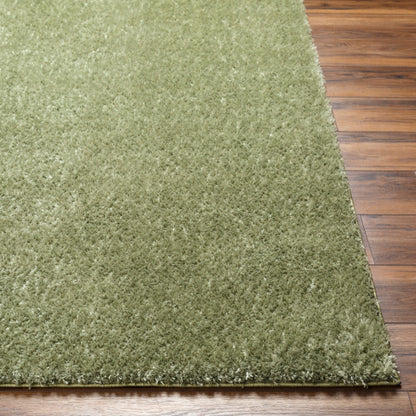 Surya Cloudy Shag CDG-2322 Grass Green Modern Machinemade Rug