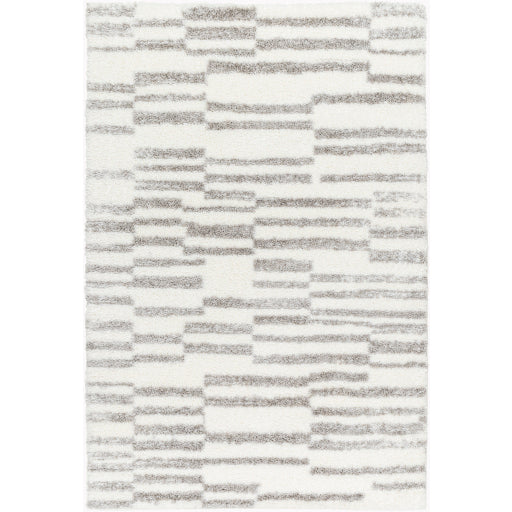 Surya Cloudy Shag CDG-2328 Off-White Modern Machinemade Rug