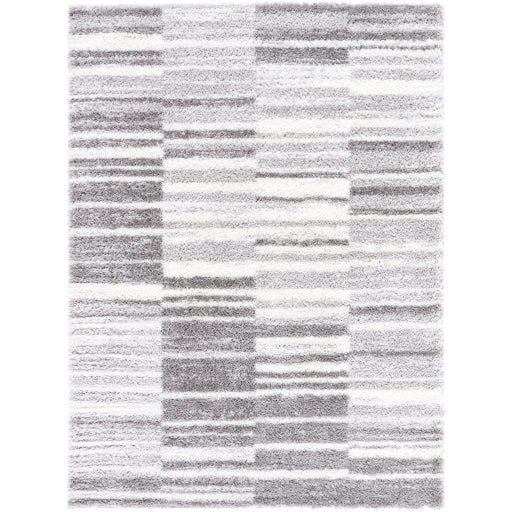 Surya Cloudy Shag CDG-2334 Gray Modern Machinemade Rug