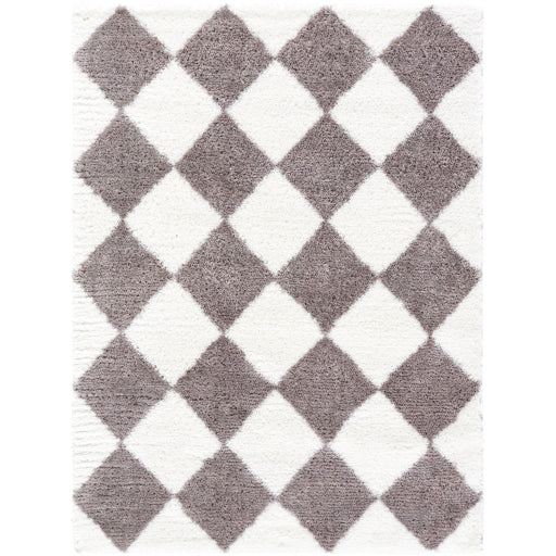 Surya Cloudy Shag CDG-2339 Brown Modern Machinemade Rug