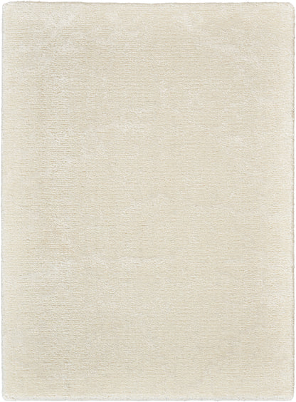 Nourison Home Twilight TWI09 Ivory Contemporary Power-loomed Rug