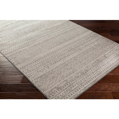 Surya Chester CHE-2304 Charcoal Global Machinemade Rug