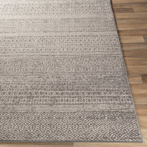 Surya Chester CHE-2304 Charcoal Global Machinemade Rug