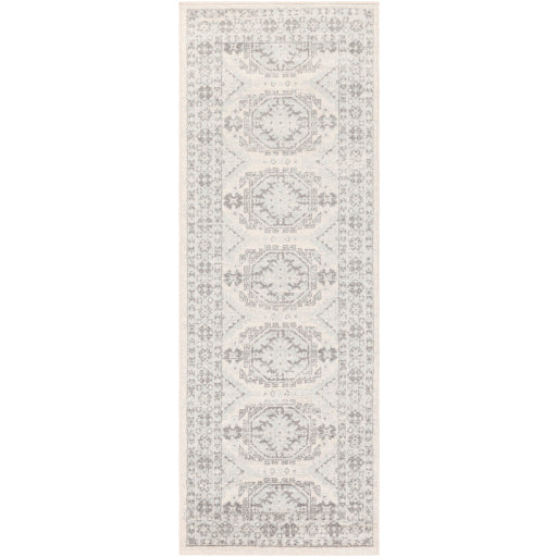 Surya Chester CHE-2309 Seafoam Global Machinemade Rug