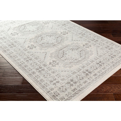 Surya Chester CHE-2309 Seafoam Global Machinemade Rug