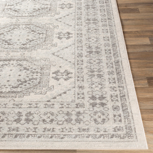Surya Chester CHE-2309 Seafoam Global Machinemade Rug