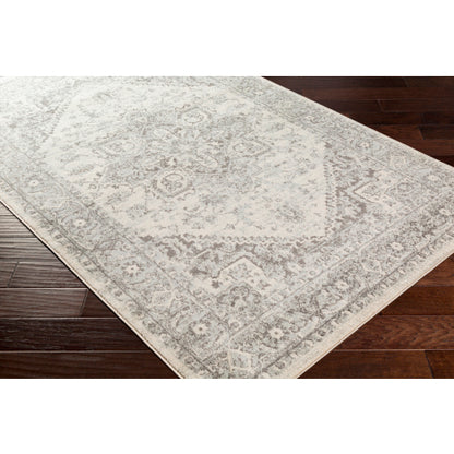 Surya Chester CHE-2312 Seafoam Traditional Machinemade Rug