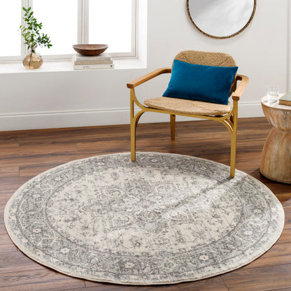 Surya Chester CHE-2312 Seafoam Traditional Machinemade Rug
