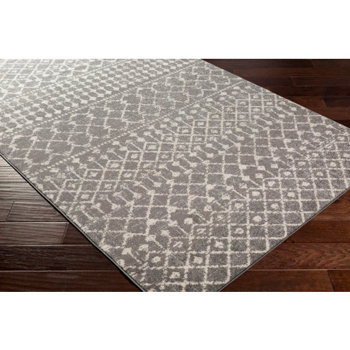 Surya Chester CHE-2321 Charcoal Global Machinemade Rug