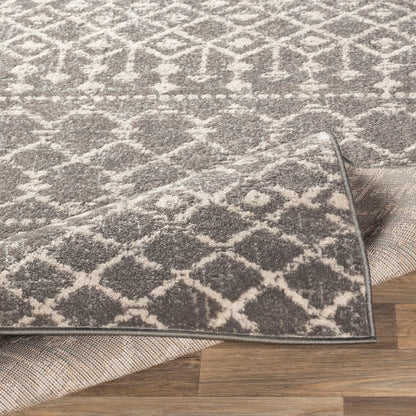 Surya Chester CHE-2321 Charcoal Global Machinemade Rug