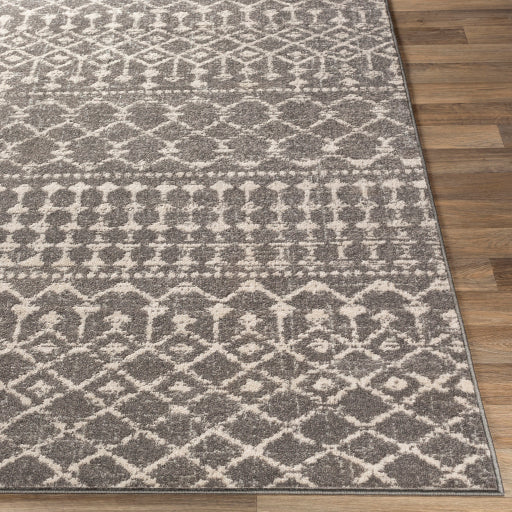 Surya Chester CHE-2321 Charcoal Global Machinemade Rug