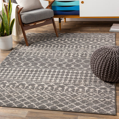 Surya Chester CHE-2321 Charcoal Global Machinemade Rug