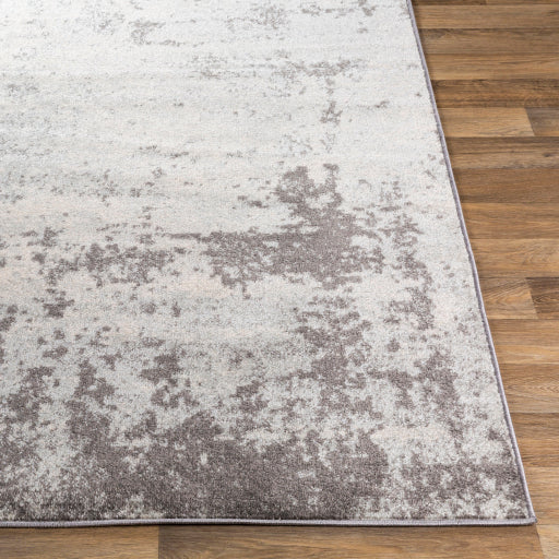 Surya Chester CHE-2340 Charcoal Modern Machinemade Rug