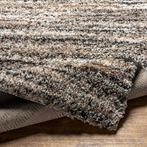 Surya Capella Shag CPS-2307 Light Brown Modern Machinemade Rug