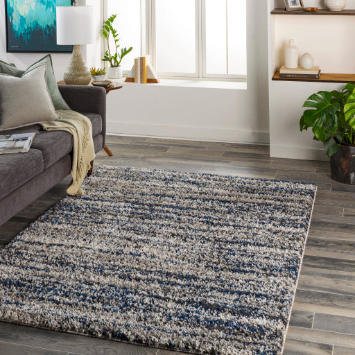 Surya Capella Shag CPS-2308 Gray Modern Machinemade Rug