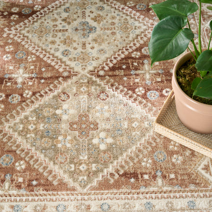 Nourison Home Pardis  Rust  Traditional
