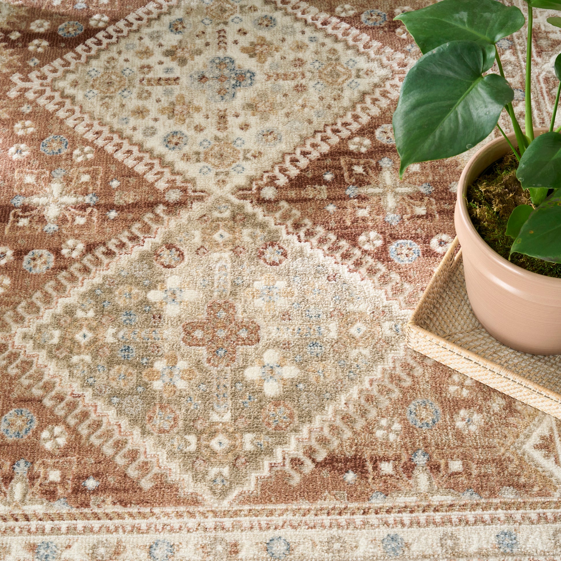 Nourison Home Pardis  Rust  Traditional